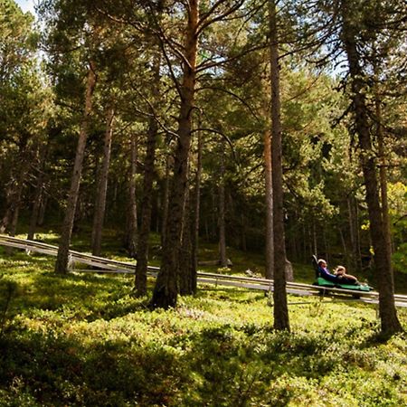Apartamento Ribasol Vallnord En Arinsal Tintin מראה חיצוני תמונה